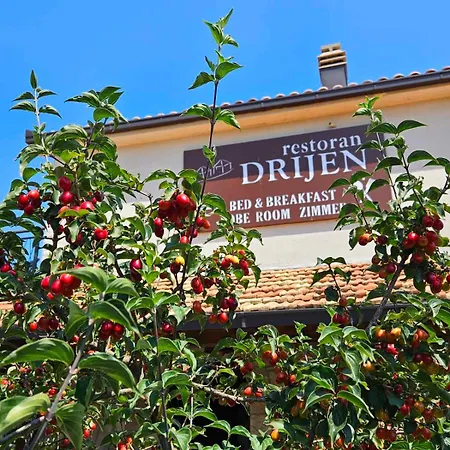 Drijen * Ravno
