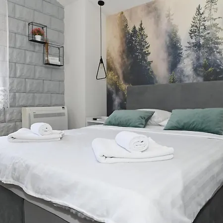 Drijen Apartment Ravno